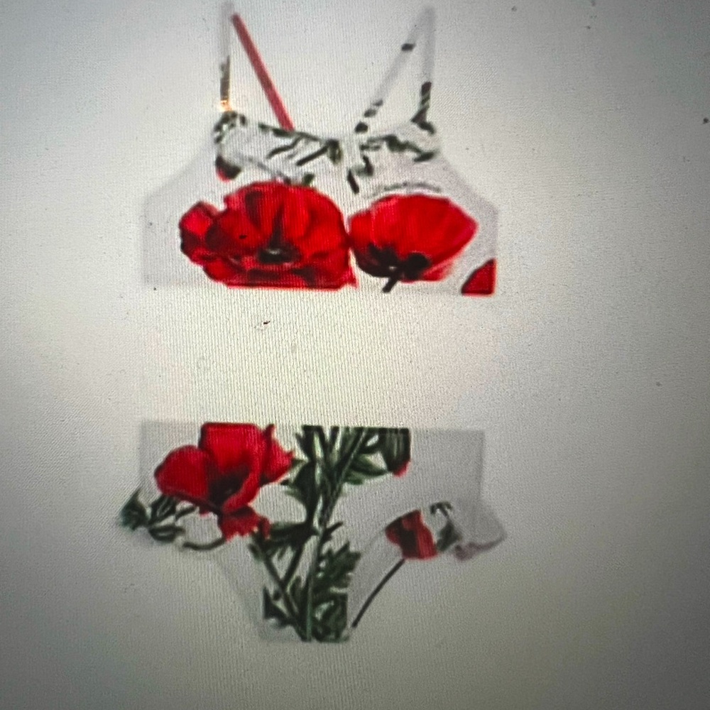 Dolce & Gabbana Kids Swim Bikini - Red Floral - Picture 3 of 5